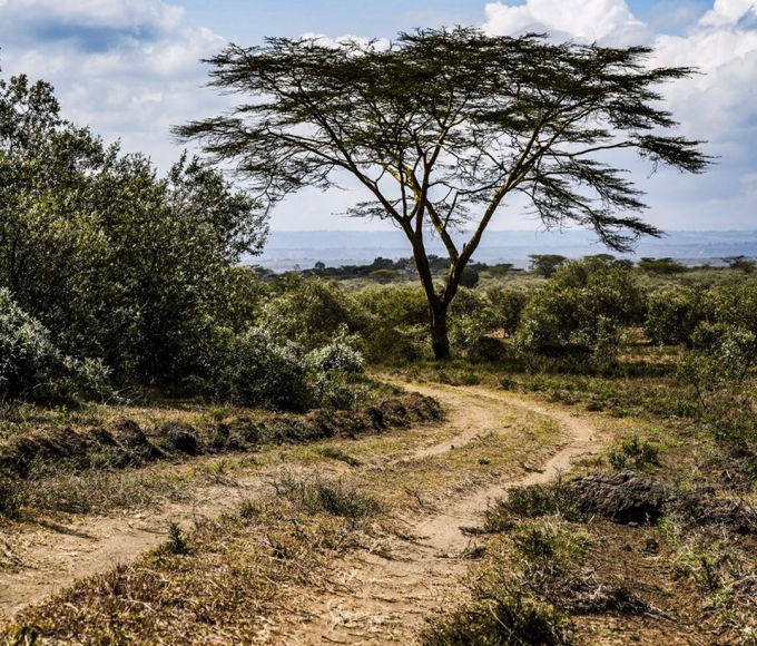 Hankook Tire Safari Rally Kenya 2026 6